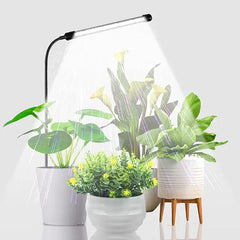 Collection image for: Plant Grow Light
