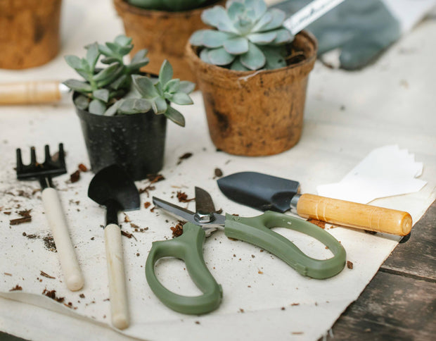 “Grow with Confidence.”