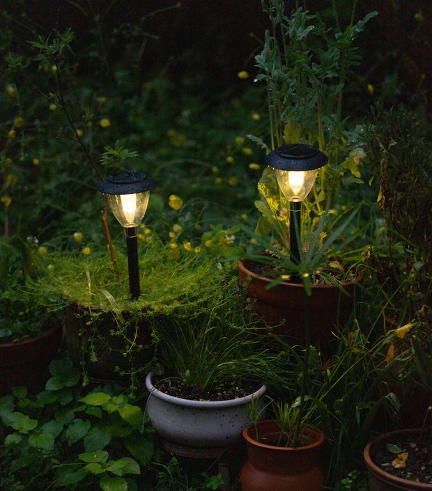 “Light the Way.”